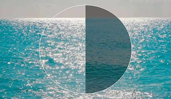polarized_2
